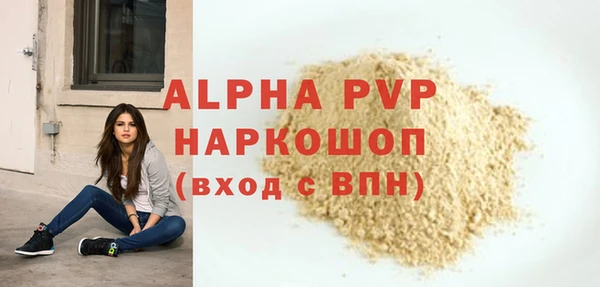 индика Алексин