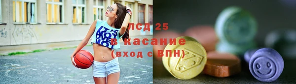 индика Алексин