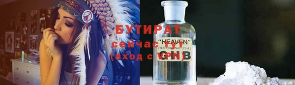 индика Алексин