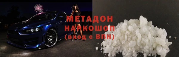 индика Алексин