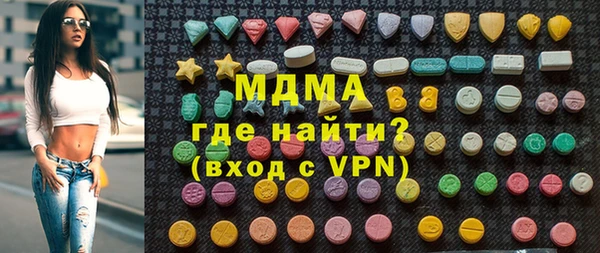 индика Алексин