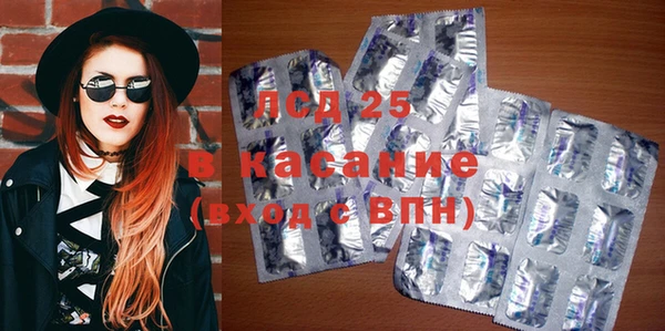 индика Алексин