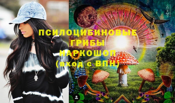 стаф Алексеевка