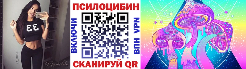 где купить наркоту  darknet телеграм  Псилоцибиновые грибы прущие грибы  Ставрополь 
